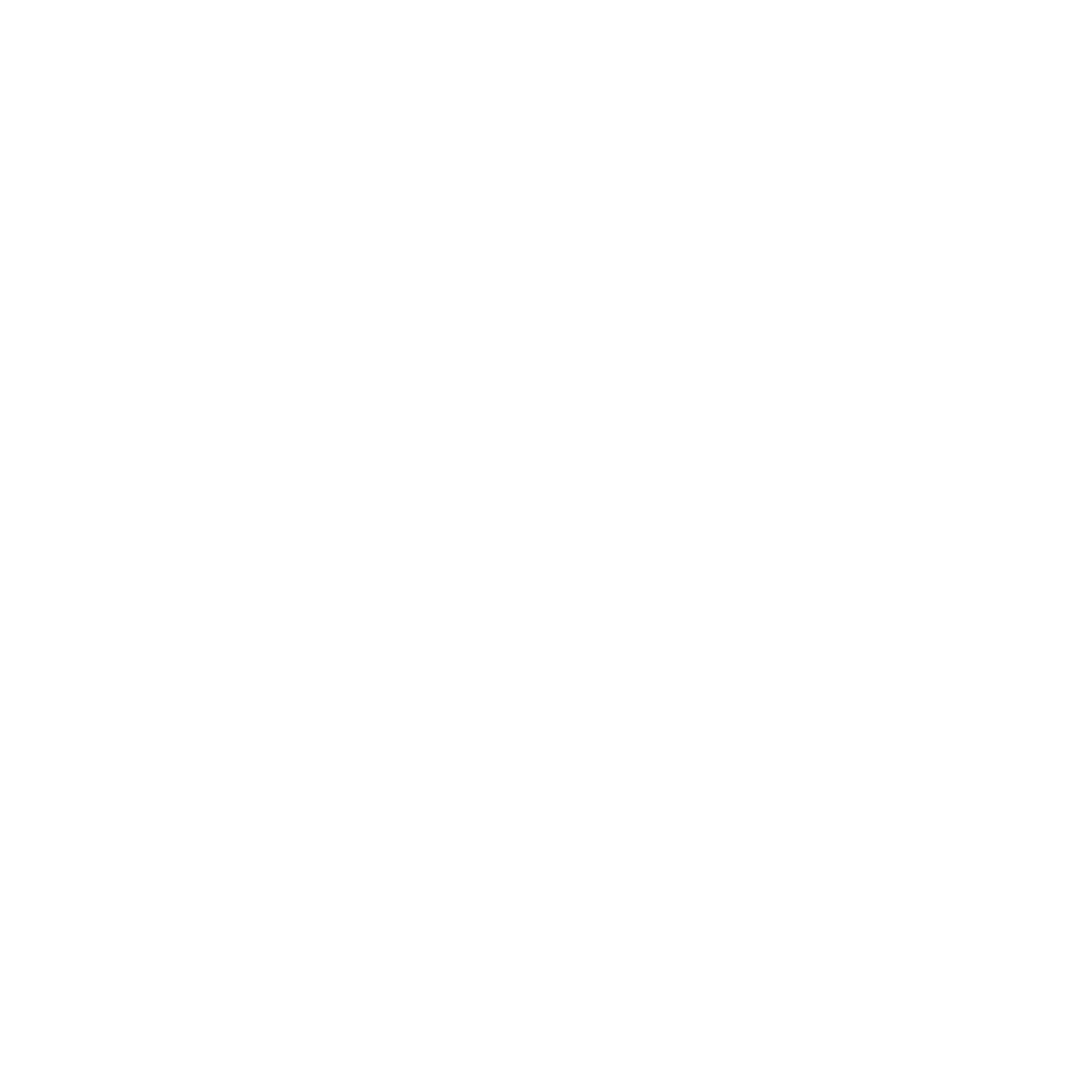 adidas_originals_w-v02